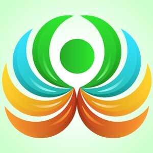 Multicolor-Flower-Logo-of-company
