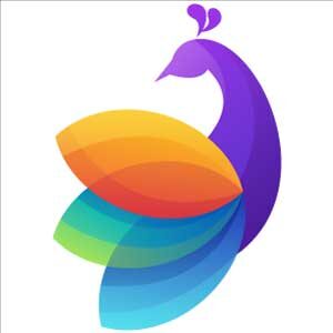 Multicolor-Peacock-Logo-of-a-company