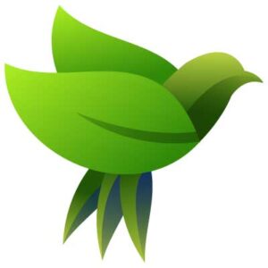 bird-leaf-logo-gradient-colorful-vector-design