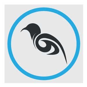 bird-logo-images-illustration-design