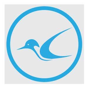 bird-logo-images-vector-circle-design