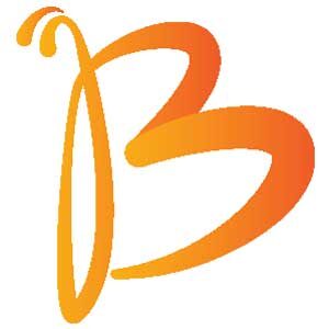 b-letter-logo-template-vector