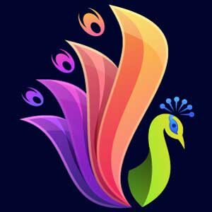 logo-illustration-peacock-colorful-design