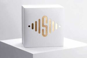 logo-mock-up-box-luxury-watch