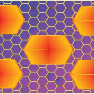 abstract-design-of-honey-bee-net-with-big-hexagon