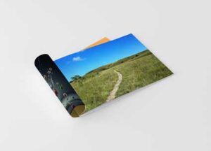 a4-landscape-brochure-mock-up