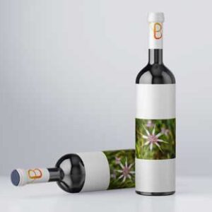 two-wine-bottle-mock-up