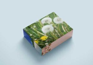 colorful-cuboid-box-mock-up