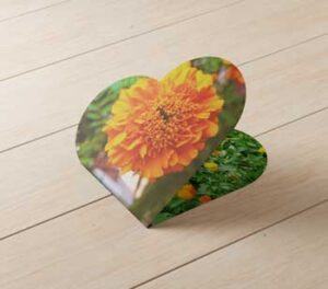 heart-shaped-leaflet-mock-up