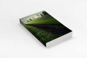 trade-book-mock-up-scenery-cover