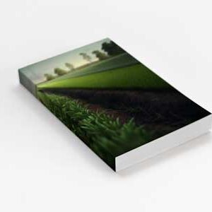 trade-book-mock-up-scenery-cover