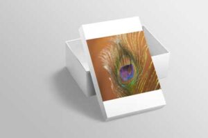 shoe-box-mock-up-set