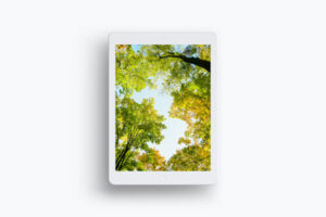 i-pad-mock-up-electric-device
