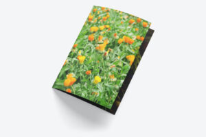greeting-card-mock-up-closed-left-view