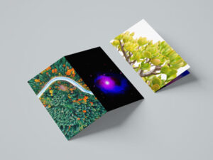 2-fold-brochure-mock-up