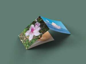 3-fold-landscape-brochure-mock-up