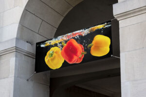 banner-free-mock-up