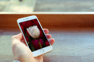 hand-i-phone-mock-up