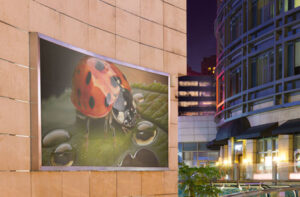 wall-poster-billboard-mock-up