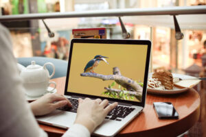 mac-book-pro-mock-up