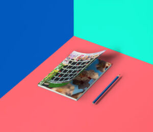 magazine-12-up-mock-up