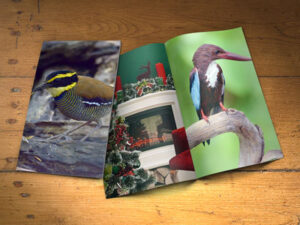 paper-mock-up-bi-fold