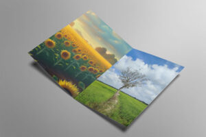 greeting-card-with-heart-mock-up