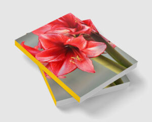 two-piece-book-mock-up