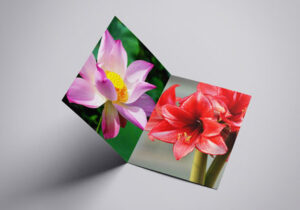 a4-bi-fold-flower-card-mock-up