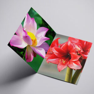 a4-bi-fold-flower-card-mock-up