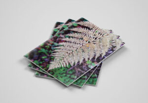 a4-three-brochure-mockup