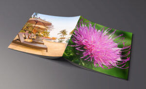 square-brochure-mock-up
