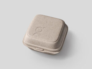 Eco cardboard package mockup