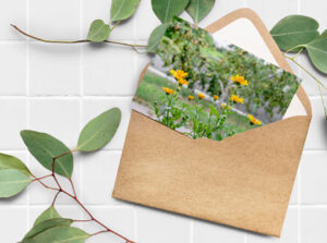 Elegant Greeting Card Mockup