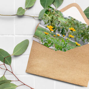 Elegant Greeting Card Mockup