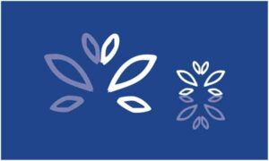 White leave on blue background