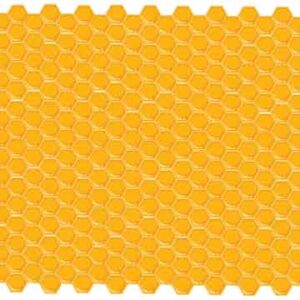 Net of yellow honey bee