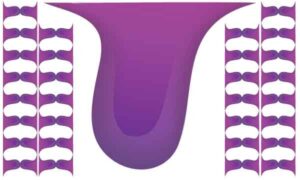 purple drop on white background
