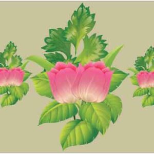 Big and small flower and leave on green background