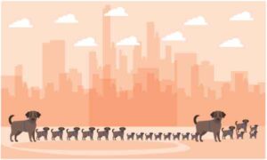 Several dog family playing in garden in front of city skyline