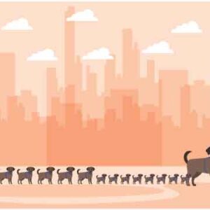 Several dog family playing in garden in front of city skyline