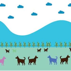 Dog in different colour playing in the garden near mountain