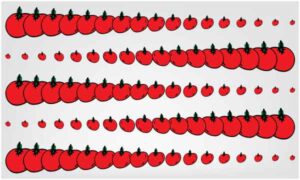 Arrangement of tomato in line from left to right on white background