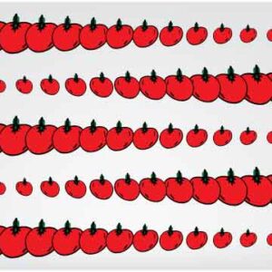 Arrangement of tomato in line from left to right on white background