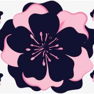 Mixture of blue and pink flower on light background