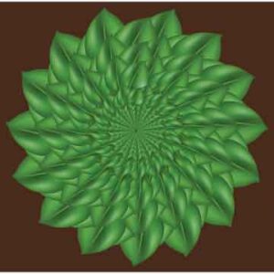 Green leaf make artwork on abstract brown background