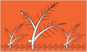 Dry leaf make black outline artwork with one side horizontal border