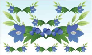 Various blue flower and bud decorate with green leaf display