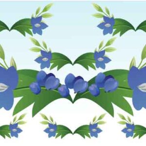 Various blue flower and bud decorate with green leaf display