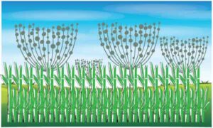 Green stem decorate with grey dotted semi-circle on blue background